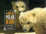 A PAIR OF POLAR BEARS: TWIN CUBS FIND A HOME AT THE SAN DIEGO ZOO