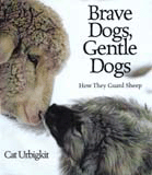 brave dogs