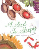 A SEED IS SLEEPY