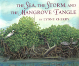 The Sea, the Storm, and the Mangrove Tangle