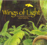 WINGS OF LIGHT: THE MIGRATION OF THE YELLOW BUTTERFLY
